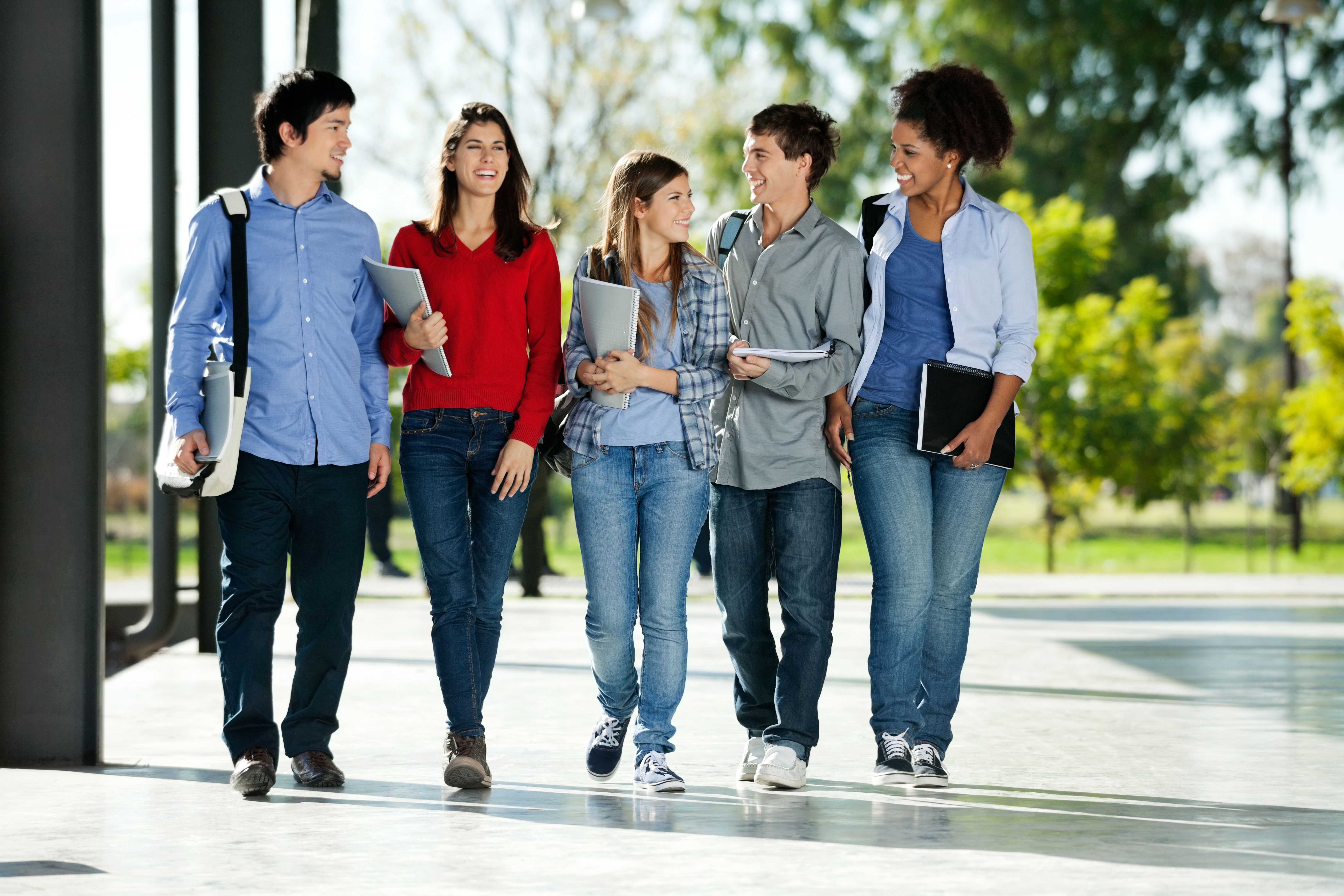 SCHOOLS & UNIVERSITIES
